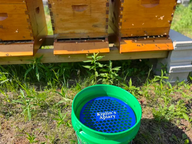 Custom Bee Watering Float - custom 3D printed by Yogerst Solutions, Fox Cities WI